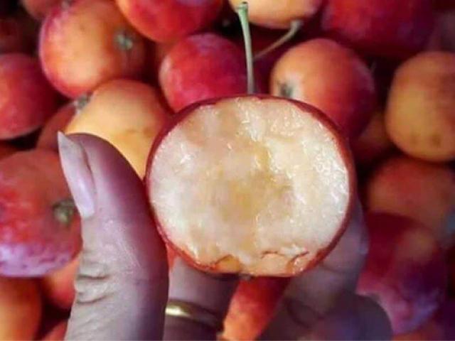 Dân buôn “vén màn” loại táo mini Úc giá siêu rẻ, chỉ từ 60.000 đồng/kg bán đầy chợ mạng